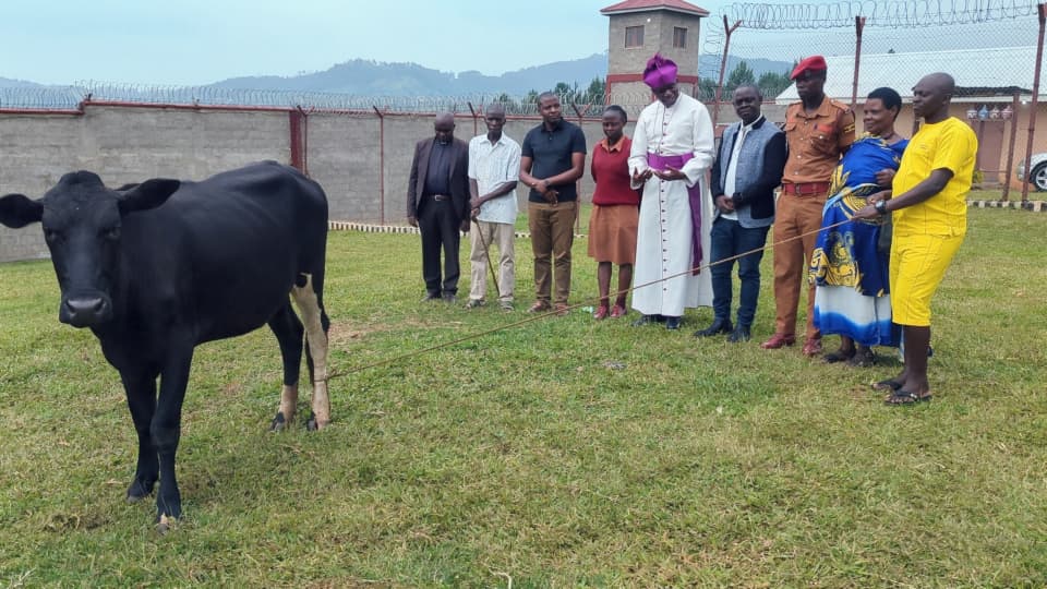 You are currently viewing Bishop Onesimus Asiimwe Donates a Fattened Heifer to Rukungiri District Prison Inmates